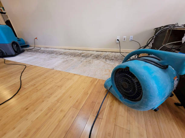 Professional Structural Drying technician working in Brookston, IN